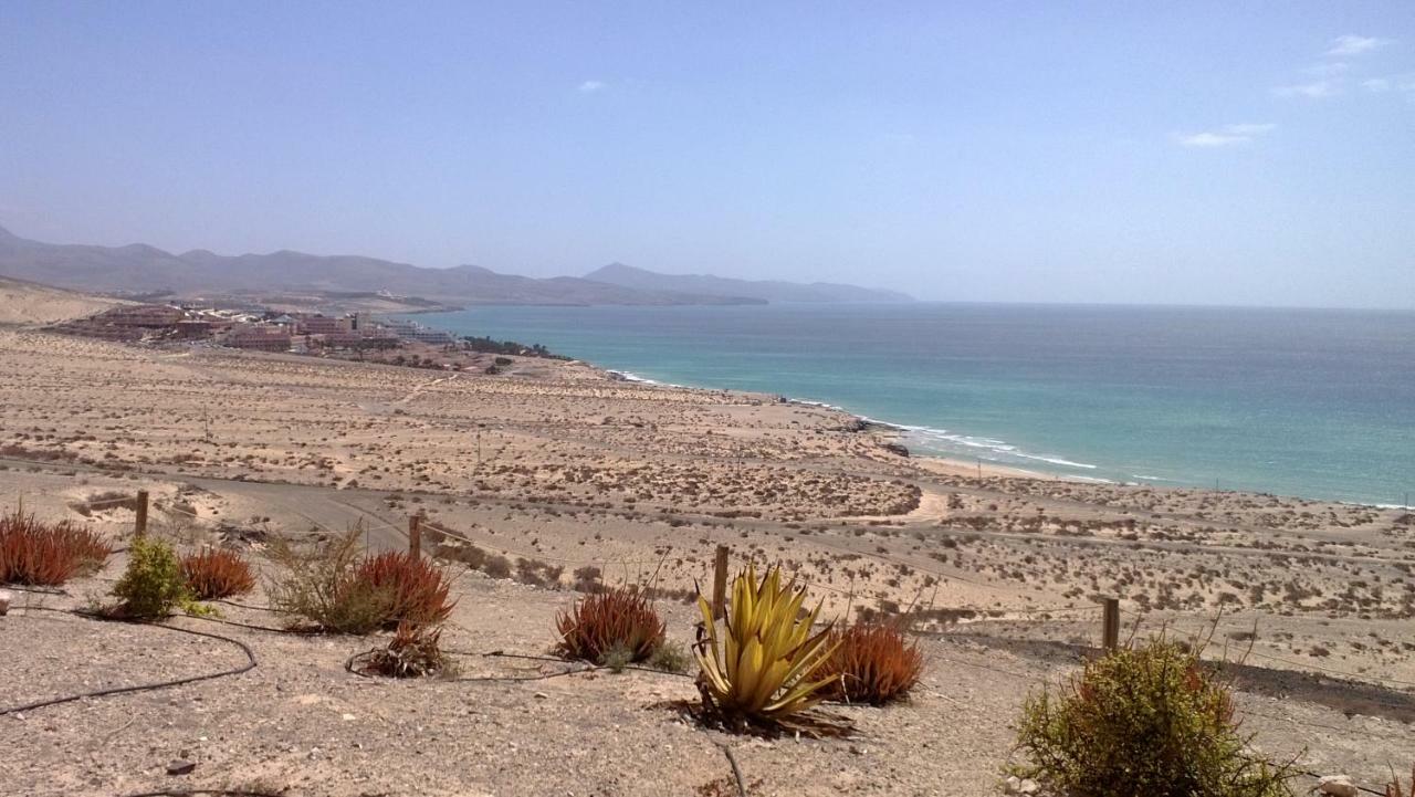Your Ocean Eyes كوستا كالما المظهر الخارجي الصورة